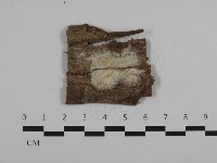 登錄號:F0032564藏品圖，第1張