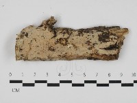 登錄號:F0032565藏品圖，第1張