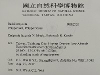 登錄號:F0032568藏品圖，第2張