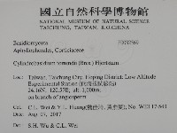 登錄號:F0032569藏品圖，第2張