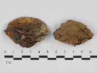 登錄號:F0032570藏品圖，第1張