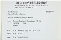 登錄號:F0032570藏品圖，第3張
