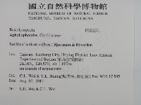 登錄號:F0032571藏品圖，第2張