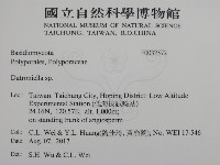 登錄號:F0032572藏品圖，第2張