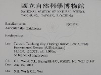 登錄號:F0032573藏品圖，第2張