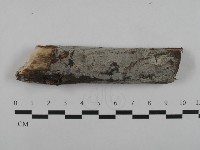 登錄號:F0032573藏品圖，第1張