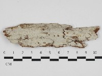 登錄號:F0032575藏品圖，第1張