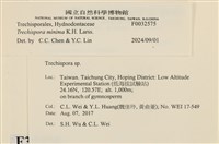 登錄號:F0032575藏品圖，第3張