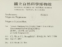 登錄號:F0032576藏品圖，第2張