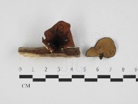 登錄號:F0032577藏品圖，第1張