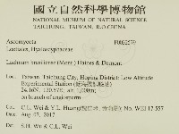 登錄號:F0032579藏品圖，第2張