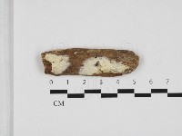 登錄號:F0032582藏品圖，第1張