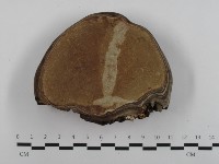 登錄號:F0032583藏品圖，第1張