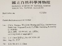 登錄號:F0032584藏品圖，第1張