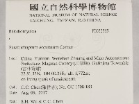 登錄號:F0032585藏品圖，第1張