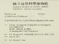 銳岩菌屬藏品圖，第2張