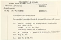 銳岩菌屬藏品圖，第3張