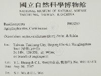 登錄號:F0032587藏品圖，第2張