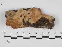 登錄號:F0032587藏品圖，第1張