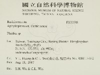 射脈菌屬藏品圖，第2張