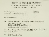 登錄號:F0032589藏品圖，第2張