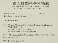 登錄號:F0032590藏品圖，第2張