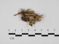 登錄號:F0032590藏品圖，第1張