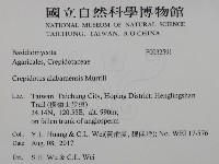 登錄號:F0032591藏品圖，第2張
