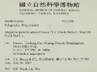 登錄號:F0032596藏品圖，第2張