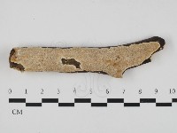 登錄號:F0032596藏品圖，第1張