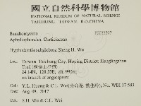 登錄號:F0032597藏品圖，第2張