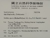 登錄號:F0032598藏品圖，第2張