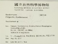 齒耳菌屬藏品圖，第2張