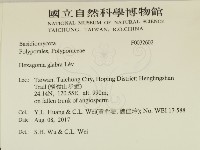 登錄號:F0032602藏品圖，第2張