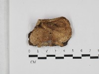 登錄號:F0032602藏品圖，第1張