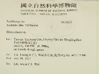 刺皮菌屬藏品圖，第2張
