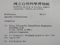 登錄號:F0032607藏品圖，第2張