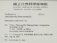 登錄號:F0032608藏品圖，第2張