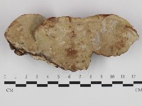 登錄號:F0032608藏品圖，第3張