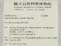 登錄號:F0032609藏品圖，第2張