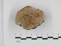登錄號:F0032609藏品圖，第3張