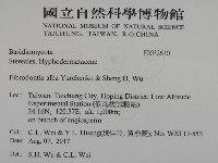 登錄號:F0032610藏品圖，第2張