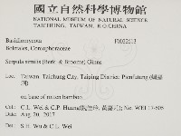 登錄號:F0032613藏品圖，第2張