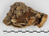 登錄號:F0032613藏品圖，第3張