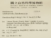登錄號:F0032614藏品圖，第2張