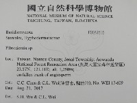 登錄號:F0032616藏品圖，第2張