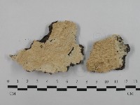 登錄號:F0032616藏品圖，第1張