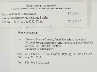 登錄號:F0032618藏品圖，第2張