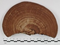 登錄號:F0032624藏品圖，第1張