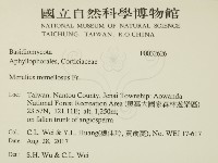 登錄號:F0032626藏品圖，第2張